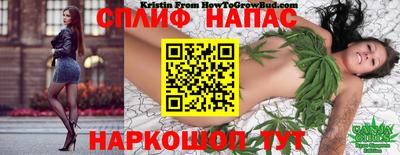 jwh Рыбинск