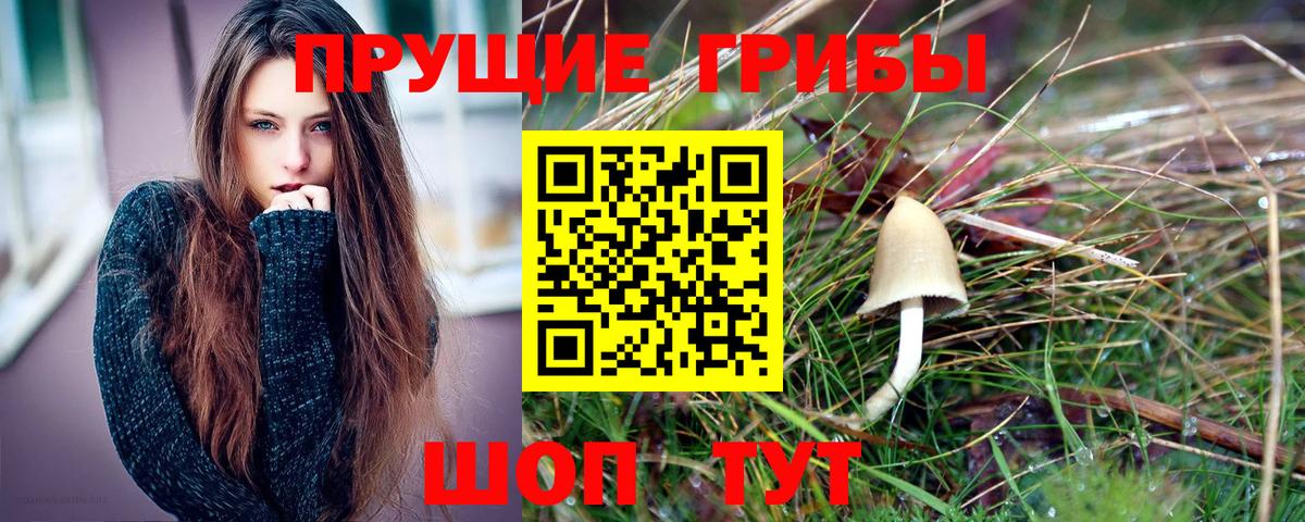 Галлюциногенные грибы GOLDEN TEACHER Алексеевка