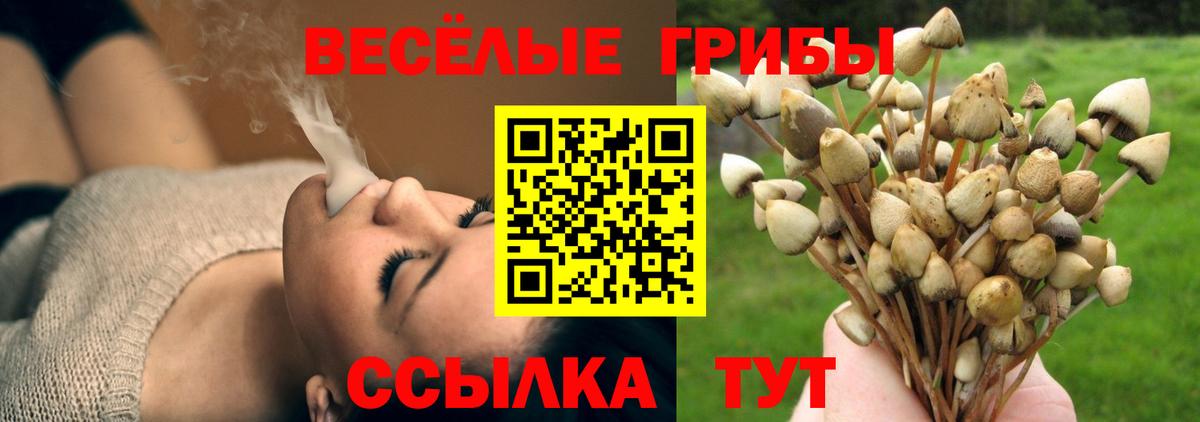 Алексеевка  Галлюциногенные грибы MAGIC MUSHROOMS  Вход с VPN 